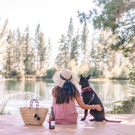 Winery Events Calendar Starfield Vineyards Placerville