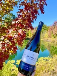 Wine Club Release