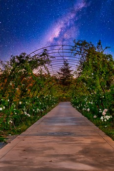 May 2025 Events at Starfield Placerville, Ca 