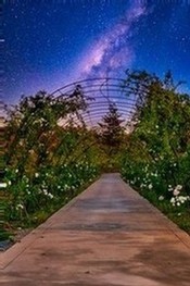 August Events
