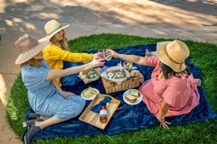 Wine Country Picnics