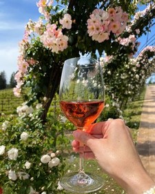 Top 10 wineries near Sacramento